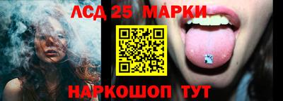 крисы Новокубанск