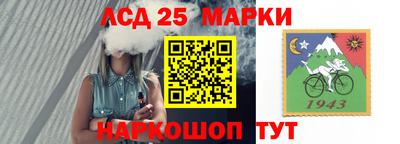 крисы Новокубанск