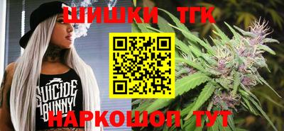 МДПВ Новодвинск