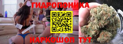 крисы Новокубанск