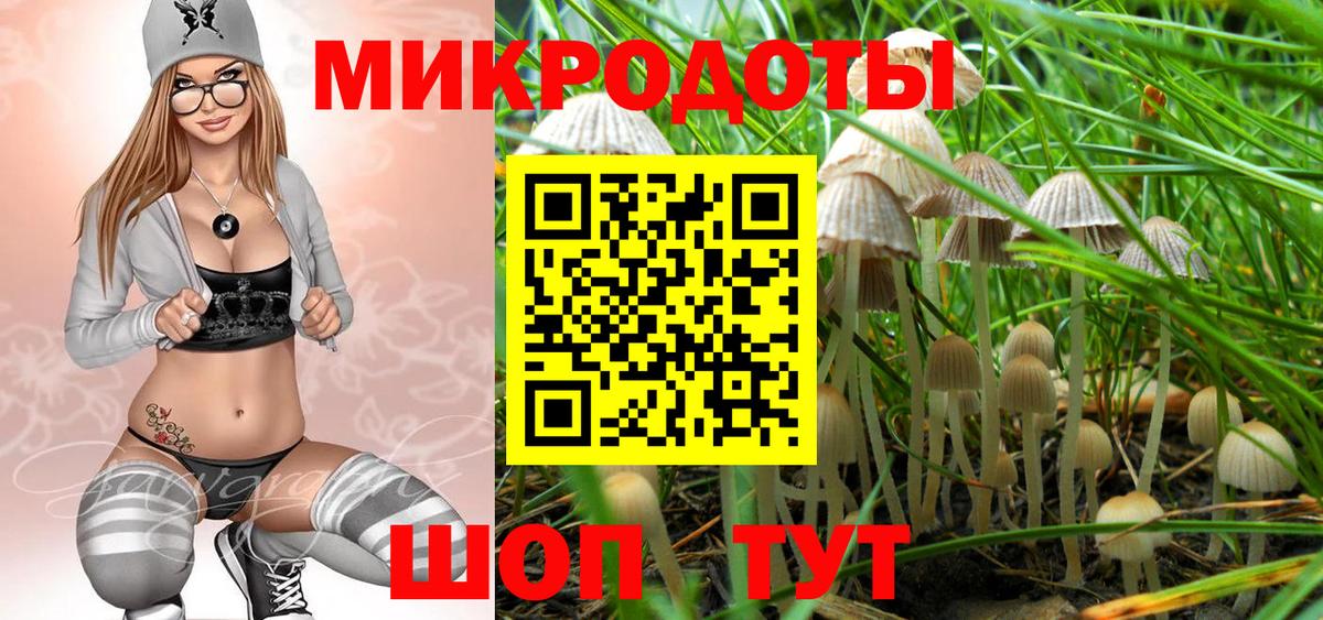 Псилоцибиновые грибы мицелий  Вход с VPN  Петрозаводск 